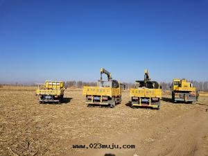 其(qí)他(tā)貨車和(hé)吊車